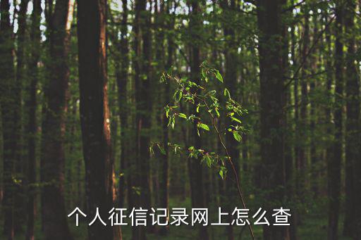 個(gè)人征信記錄網(wǎng)上怎么查