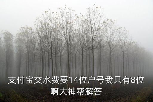 支付寶交水費要14位戶號我只有8位啊大神幫解答