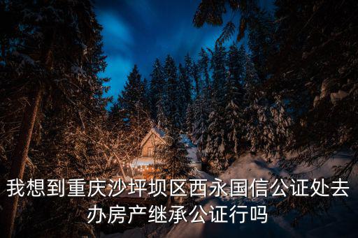 國信公證處，我想到重慶沙坪壩區西永國信公證處去辦房產繼承公證行嗎