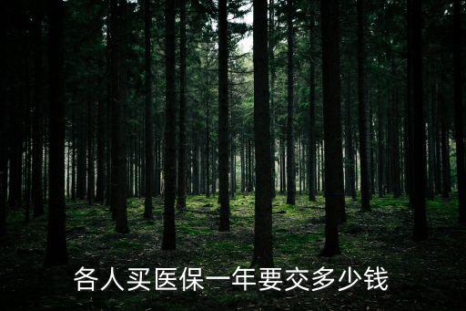 醫保要交多少錢，自己交醫保多少錢