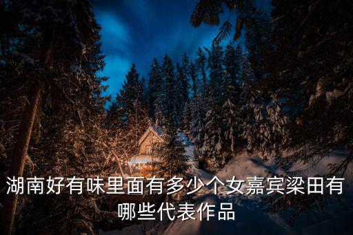 湖南好有味里面有多少個女嘉賓梁田有哪些代表作品