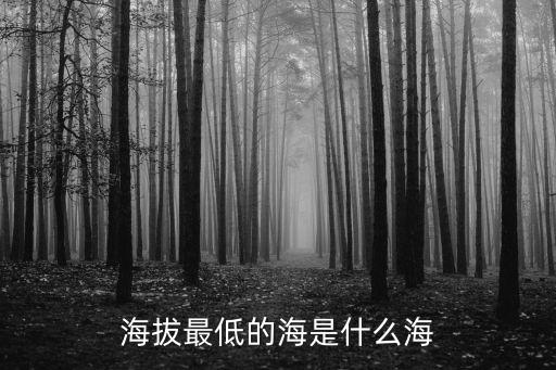 海拔最低的海是什么海