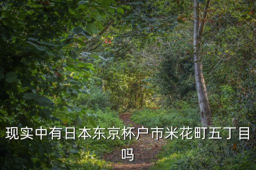 現(xiàn)實(shí)中有日本東京杯戶(hù)市米花町五丁目嗎