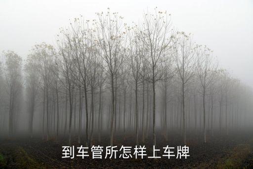 怎么上車牌，到車管所怎樣上車牌