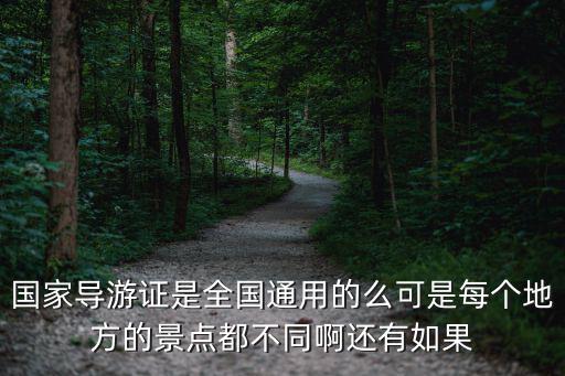 國家導游證，國家導游證和地方導游證的區別