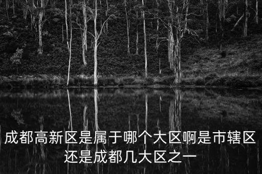 成都高新區是屬于哪個大區啊是市轄區還是成都幾大區之一