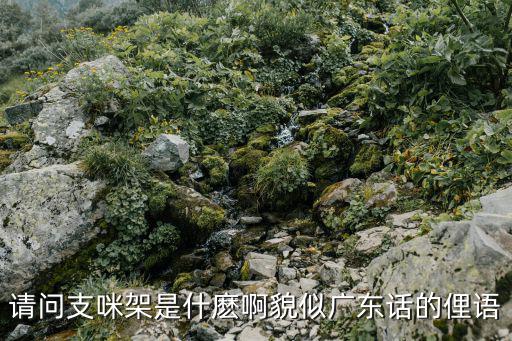 請問支咪架是什麼啊貌似廣東話的俚語