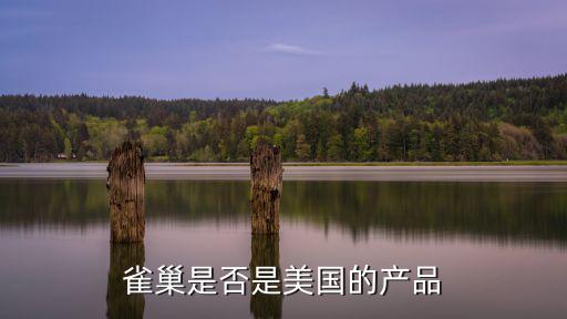 雀巢是否是美國的產品