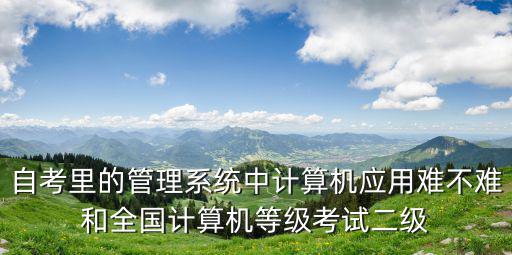 自考里的管理系統(tǒng)中計(jì)算機(jī)應(yīng)用難不難和全國(guó)計(jì)算機(jī)等級(jí)考試二級(jí)