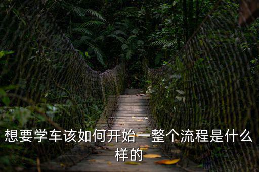 想要學車該如何開始一整個流程是什么樣的