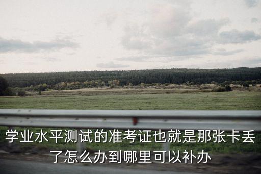 學業水平測試的準考證也就是那張卡丟了怎么辦到哪里可以補辦