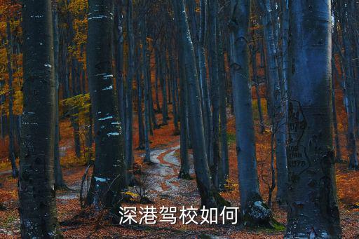 深港駕校，深港駕校只要你交了學(xué)費(fèi)你就變孫子了二年都拿不到駕證