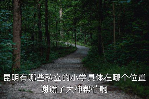昆明有哪些私立的小學(xué)具體在哪個位置謝謝了大神幫忙啊