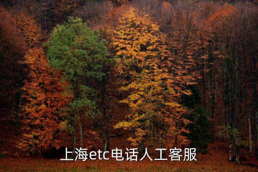 上海etc電話人工客服