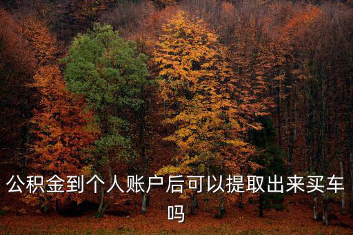 公積金到個(gè)人賬戶后可以提取出來(lái)買車嗎