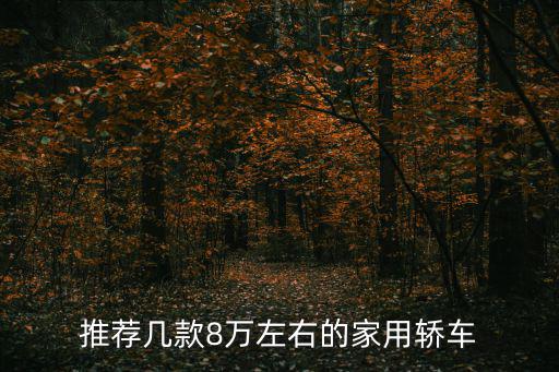 8萬的車，8萬左右的車子有哪些