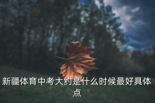 新疆體育中考大約是什么時(shí)候最好具體點(diǎn)