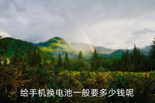 給手機換電池一般要多少錢呢