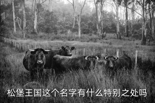 松堡王國(guó)這個(gè)名字有什么特別之處嗎
