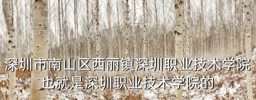 深圳市南山區西麗鎮深圳職業技術學院也就是深圳職業技術學院的