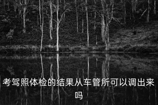 駕照體檢，考駕照體檢的結果從車管所可以調出來嗎