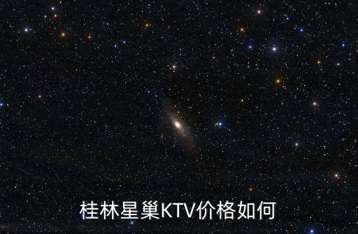 桂林星巢KTV價格如何