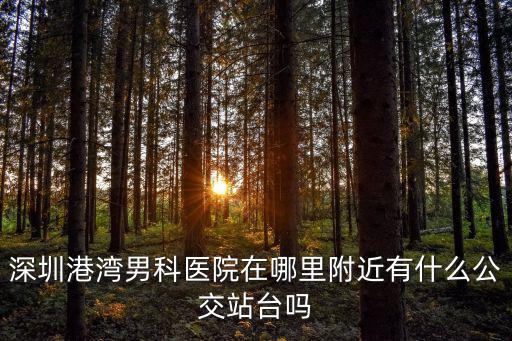深圳港灣男科醫院在哪里附近有什么公交站臺嗎