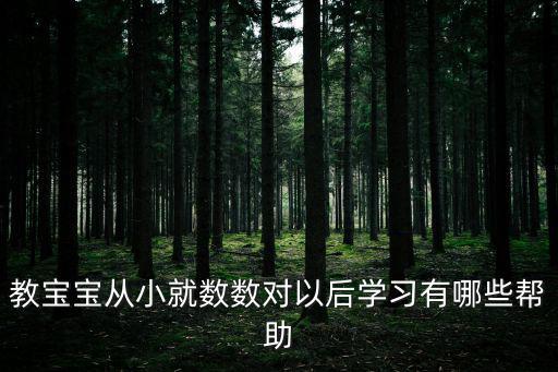教寶寶從小就數(shù)數(shù)對以后學(xué)習(xí)有哪些幫助