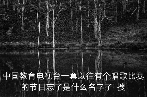中國教育電視臺1，中國教育電視臺一套以往有個唱歌比賽的節目忘了是什么名字了  搜