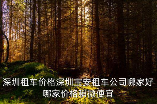 深圳租車價格深圳寶安租車公司哪家好哪家價格稍微便宜