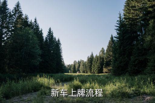 新車上牌流程，現在新車上戶的步驟和需要幾天時間