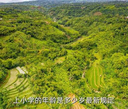 上小學的年齡是多少歲最新規定