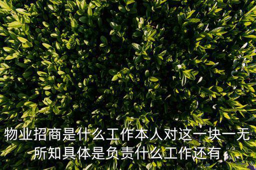 物業招商是什么工作本人對這一塊一無所知具體是負責什么工作還有