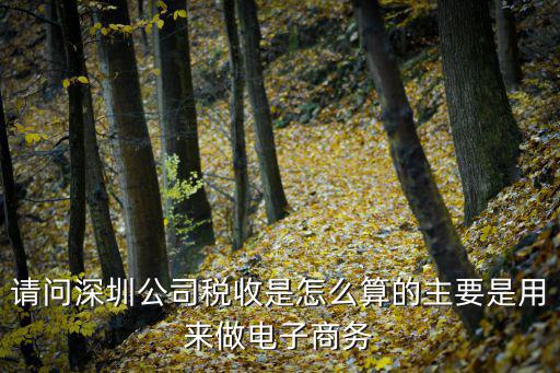 請問深圳公司稅收是怎么算的主要是用來做電子商務