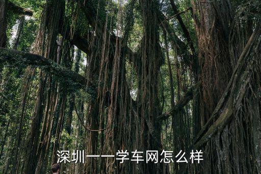 深圳一一學(xué)車(chē)網(wǎng)怎么樣