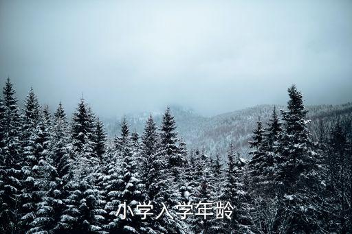 小學入學年齡