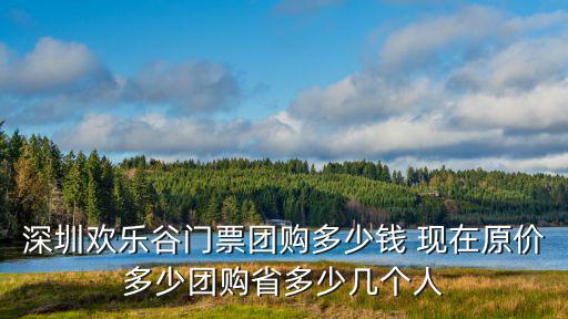 深圳歡樂谷門票團購多少錢 現在原價多少團購省多少幾個人