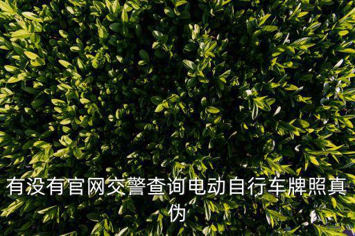 有沒有官網交警查詢電動自行車牌照真偽