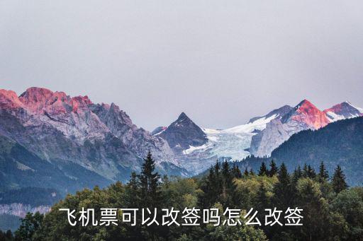 飛機(jī)票可以改簽嗎怎么改簽