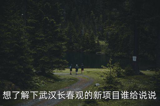 想了解下武漢長春觀的新項(xiàng)目誰給說說