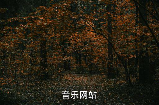 音樂網(wǎng)站