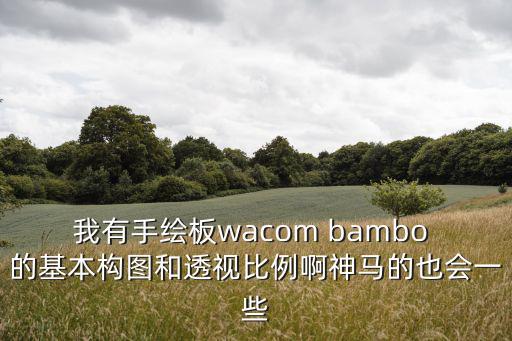 我有手繪板wacom bambo 的基本構圖和透視比例啊神馬的也會一些