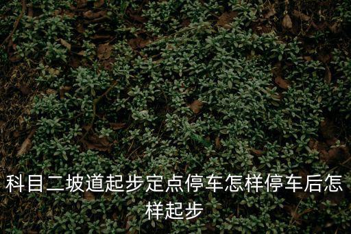 科目二坡道起步定點(diǎn)停車怎樣停車后怎樣起步