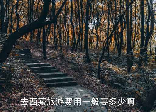 去西藏旅游費用一般要多少啊