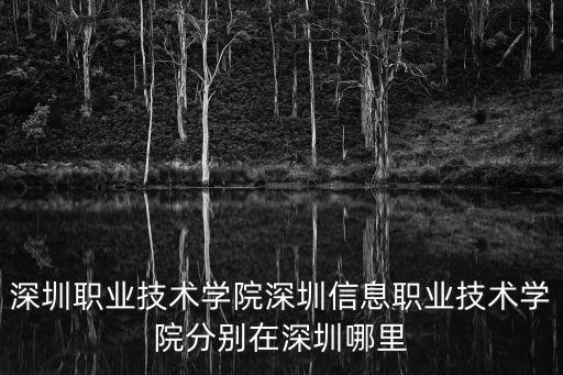 深圳職業技術學院深圳信息職業技術學院分別在深圳哪里