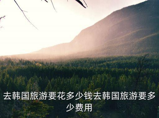 去韓國旅游要花多少錢去韓國旅游要多少費用