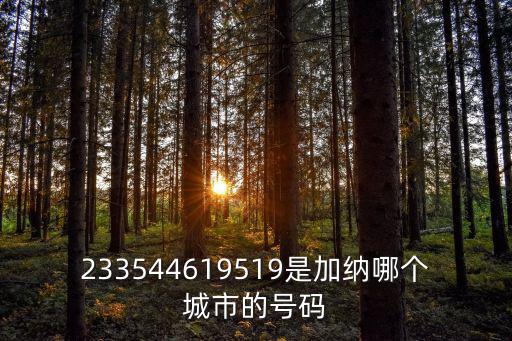 233544619519是加納哪個城市的號碼