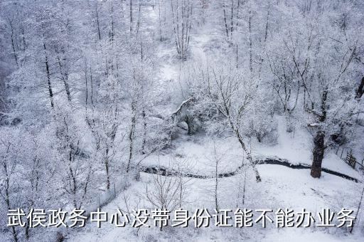 武侯政務(wù)中心沒(méi)帶身份證能不能辦業(yè)務(wù)