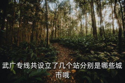 武廣專線共設立了幾個站分別是哪些城市哦