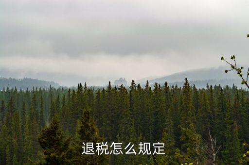 退稅怎么規定